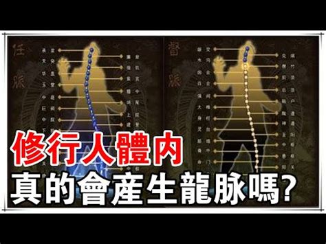 龍脈石功效|【龍脈石是什麼】別輕易錯過！獵人必知的龍脈石是什麼？